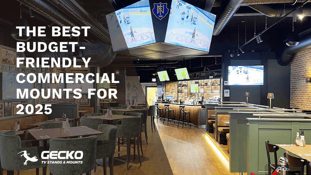 Best Budget-Friendly Commercial Mounts